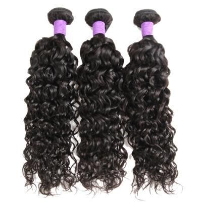 Real Photo 100% Human Hair Water Wave Unprocessed Remy Brazilian Hair Weft