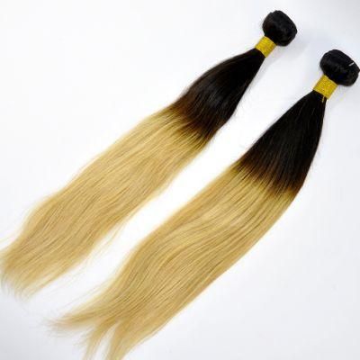 100% Unprocessed Brazilian Virgin Straight Hair Ombre Color Human Hair Extensions Lbh 215