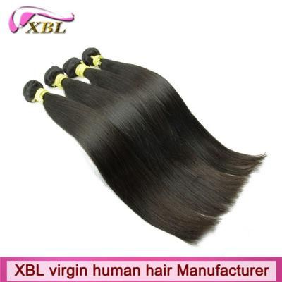 Natural Human Hair Weave Brazilian Hair Bundles