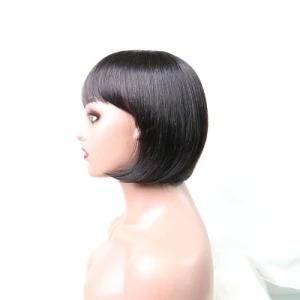 Wholesale Fashion Black Vietnam Human Hair Thin Skin Swiss Front Lace Wig