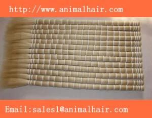 Horse Tail Hair and Animal Hair