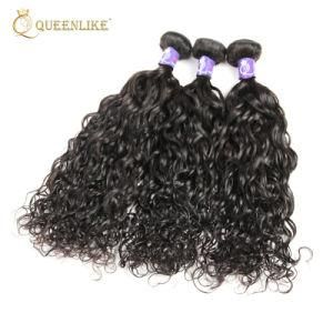 Brazilian Water Wave Virgin Human Unprocessed Hair Extensions