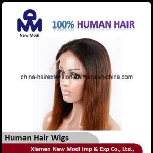 Brazilian Human Hair Fashion Full Lace Wig for Lady