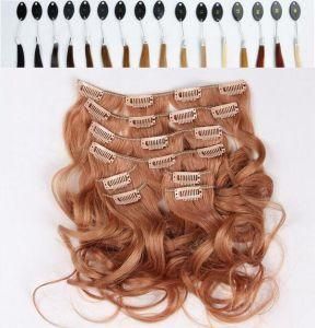 8A Brazilian Virgin Human Hair with Clip-in Hair Extensions 120g/20&quot;
