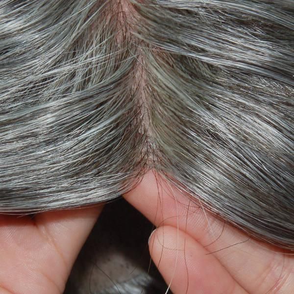 Ljc473 Indian Human Hair with Grey Hair in Synthetic Hairpiece