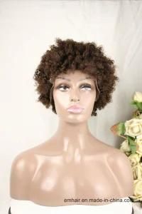 4# Color High Quality 130% Density Human Full Lace Afro Kinky Curly Hair Wig