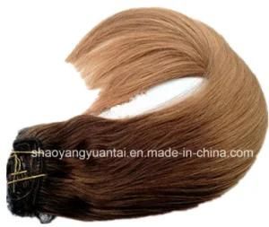 Clip in Indian/Chinese Virgin Human Hair Extension Wholesale Price
