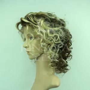 Top Grade Virgin 100% Human Hair Front Lace Wigs for Women241732