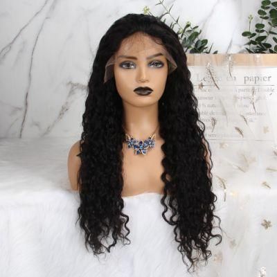 Highlighted Transparent HD Lace Front Brazilian Ombre Color Pre Dyed 13X4 Human Hair Wig