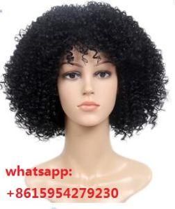 Human Hair Afro Kinky Curl Wig Natural Color Natural Hairline