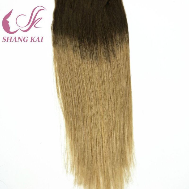 Remy Human Clip Hair Extensions, Virgin Russian Seamless Clip in Hair