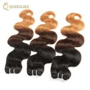 Brazilian Raw Virgin Cuticle Aligned Ombre Color Human Hair Weave