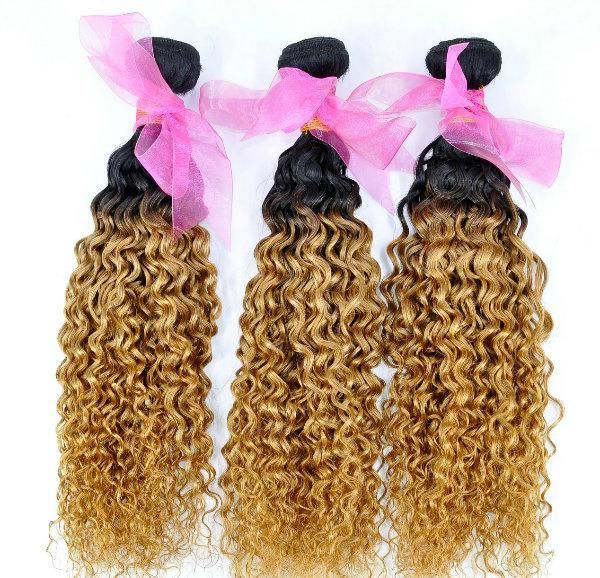 Brazilian Ombre Remy Human Hair Weft at Wholesale Price with SGS Approved (Curly #1B/27)