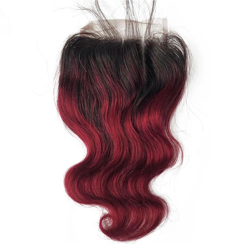 Beauty Ombre Loose Wave Brazilian Human Hair Bundles with Transparent Lace Closure
