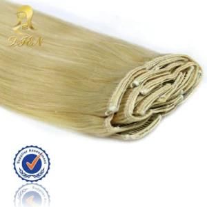 Wholesale Indian Clip in Human Hair Extension