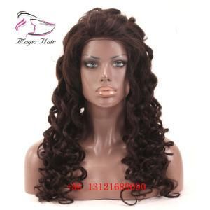 22 Inch Curly Malaysian Virgin Hair Lace Front Human Hair Wigs