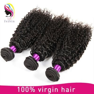 Nice Quality 100% Kinky Curly Human Hair Remy Hair Extension