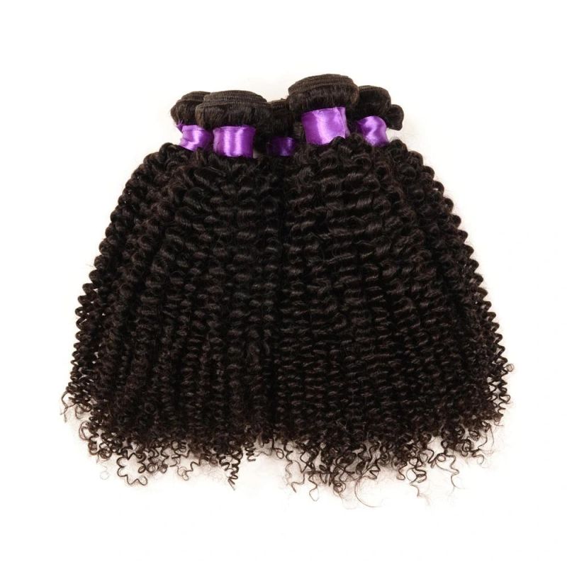 100% Virgin Indian Afro Kinky Curly Hair Hot Sale Afro Kinky Hair Weaving Grade 7A Afro Kinky Human Hair