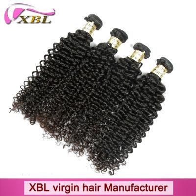 Human Hair Weave Kinky Curly Wholesale Virgin Brazilian Remy Hair