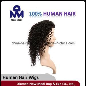 Wholesale Brazilian Remy Hair Deep Wave Lace Wig
