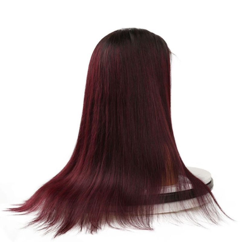 Swiss Lace Wig Transparent, Transparent Lace Front Wig Pre Plucked, Human Hair Wigs Grade 12A