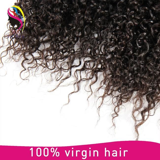 100% Human Brazilian Kinky Curly Hair Remy Hair E≃ Tension
