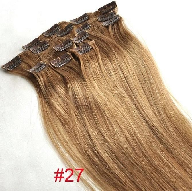 Clip on Hair Extension Remy Clip in Human Hair Extensions (AV-CH009-22)