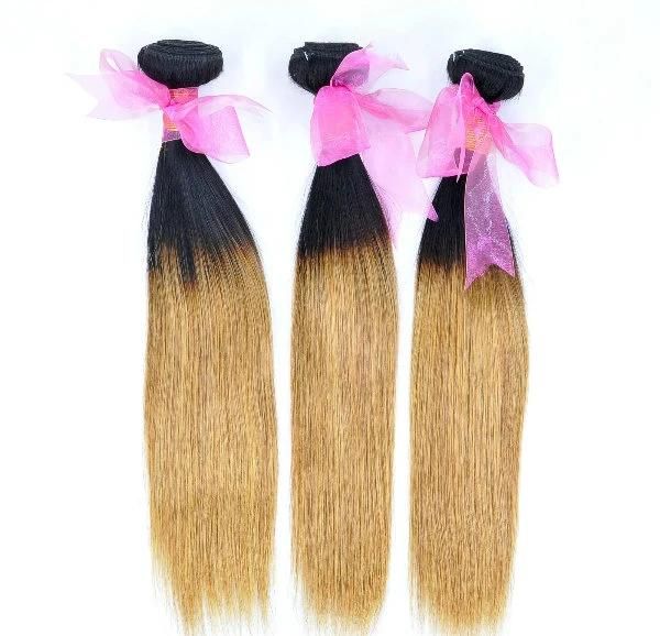 Brazilian Ombre Remy Human Hair at Wholesale Price with SGS Approved (Straight #1B/27)