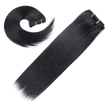 100% Human Hair Clip in Hair Extension Clip in Sets 7PCS (AV-CH110-20-1)