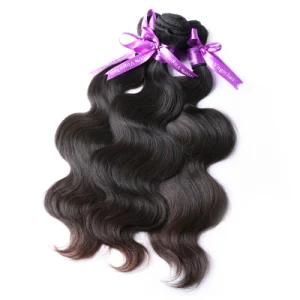 Peruvian Human Raw Cuticle Aligned Virgin Vendors Hair Extensions