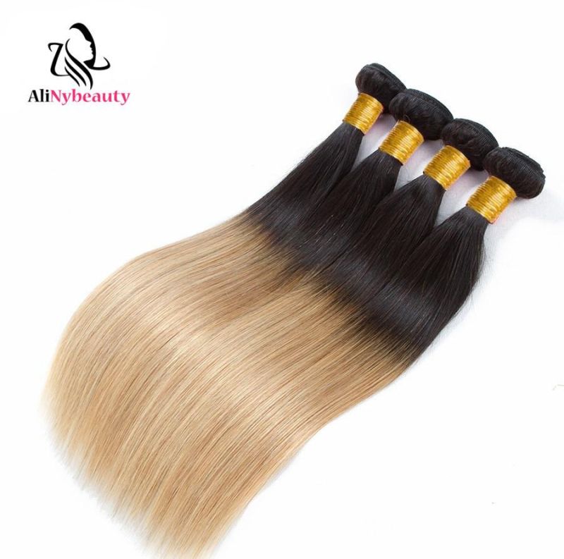 Alinybeauty 100% Remy Indian Human Hair 1b/27 Ombre Hair