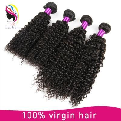 100% Brazilian Human Virgin Hair Kinky Curl Hair Bundle
