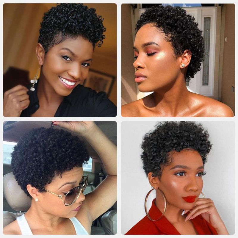 Kinky Curly Pixie Cut Wigs Short Human Hair Wig with Lace Front Human Brazilian Hair Wig for Black Women