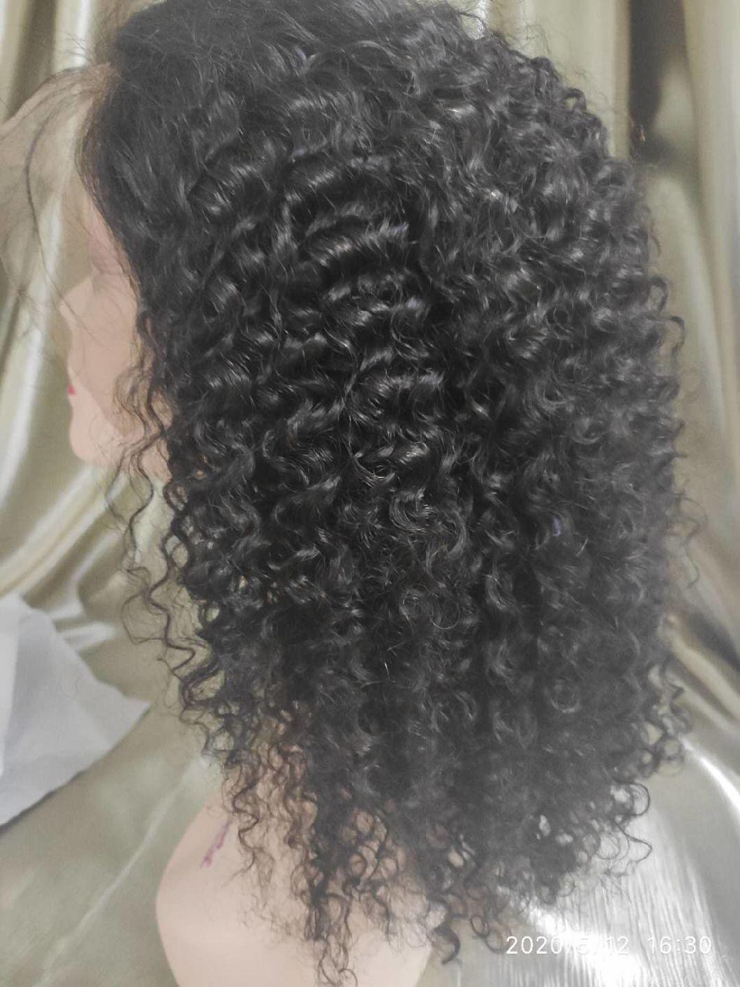 Mink Brazilian Human Hair Afro Kinky Curly Lace Wig