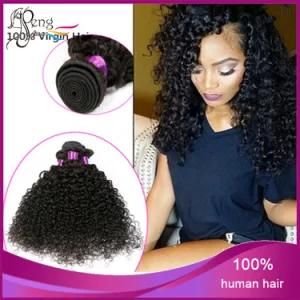Unprocessed Human Top Quality Kinky Curly Hair