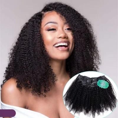 Kinky Curly Mink Brazilian Human Hair Clips-in Extensions