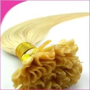 U Tip Hair Extensions Brazilian Virgin Human Hair