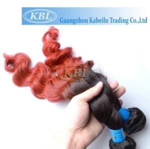 99j Color Brazilian Two Tone Color Human Hair