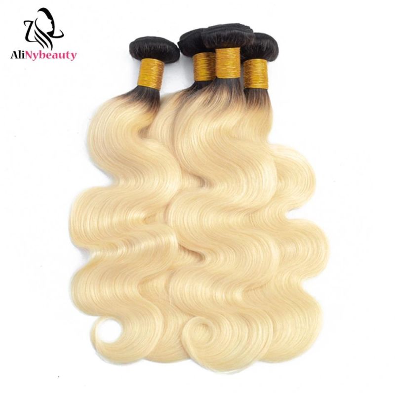 Alinybeauty Brazilian Human Hair T1b/613 Bundles with Frontal