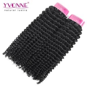 Wholesale Hair Price Kinky Curly Hair Brazilian Virgin Hair Extension 100 Human Hair