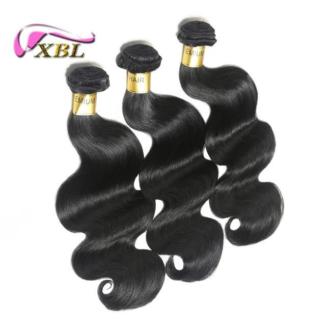 No Shedding Tangle Free 100% Brazilian Virgin Human Hair Weave