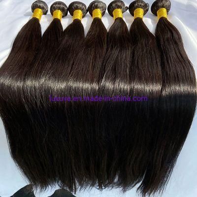 Factory No Tangle No Shedding Cuticle Aligned Virgin Hair, Brazilian Human Hair Bundles, Virgin Cuticle Aligned Hair Bundles