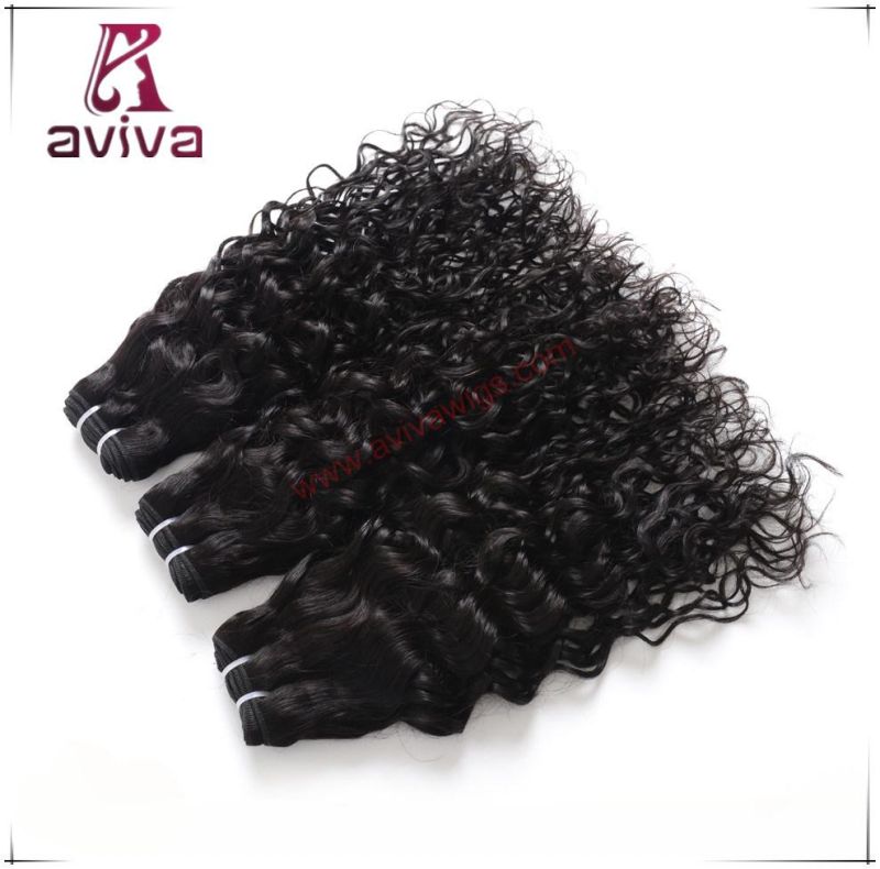 Brazilian Virgin Remy Hair Weave Double Drown Human Hair Water Curl Weave