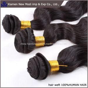 100% Virgin Human Hair Brazilian Human Hair Weft