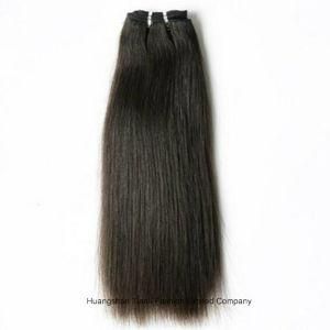 8-26inch Silky Straight Brazilian Virgin Human Hair