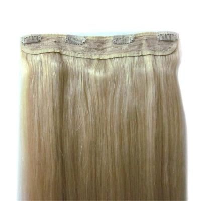 Wholesale Price Hair Extension Collection Products Remy Hair Clip on Hair Extensions