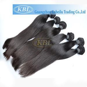 High Quality Malasian Human Hair Extension