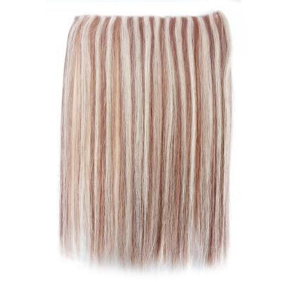 Heat Resistant Factory Price No Shedding No Tangle 100% Remy Human Hair Tape in Hair Extension