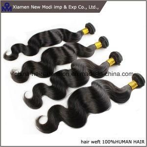 Brazilian Human Hair Extension Remy Hair Weaving