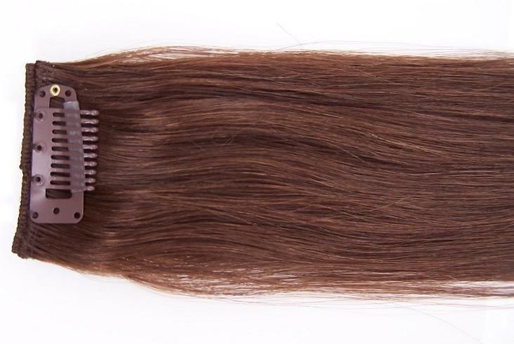 Clip on Hair Extensions Human Hair Clip in Hair Extension (AV-CH010)